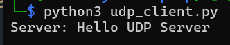 ServerHelloUDP.png