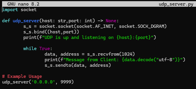 udp_server_all_interfaces.png