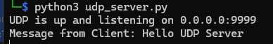 udp_server_response.png