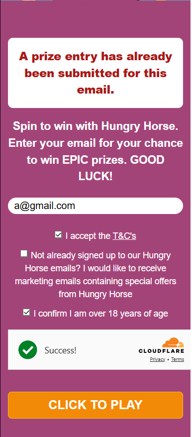 Filled In Test Entry Spin Form.png