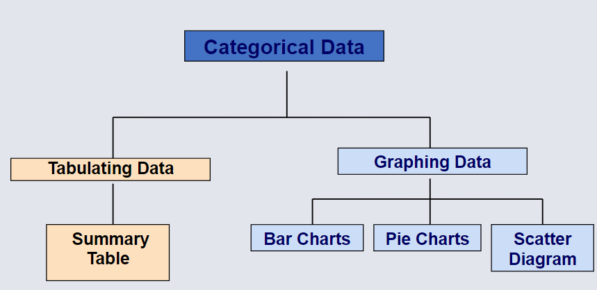 Categorical Data.png