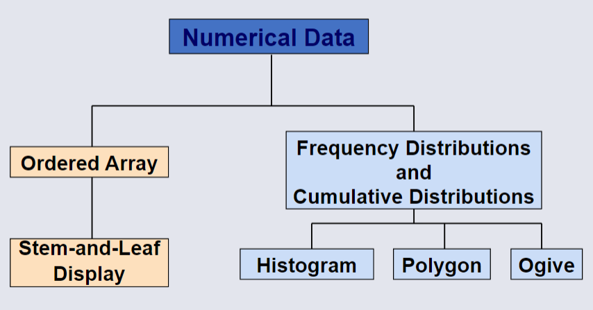 Numerical Data.png