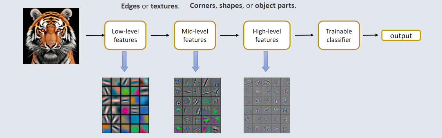CO3519 L12 - MLP Diagram.png