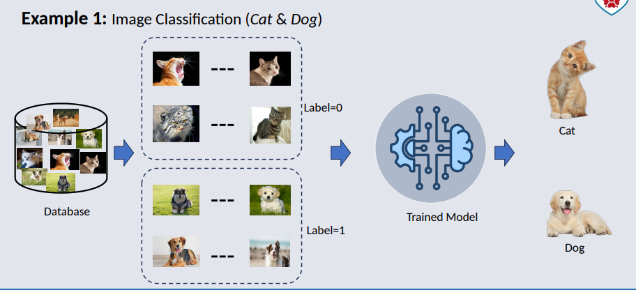 CO3519 Lecture 2 - Image Classification Cats & Dogs.png